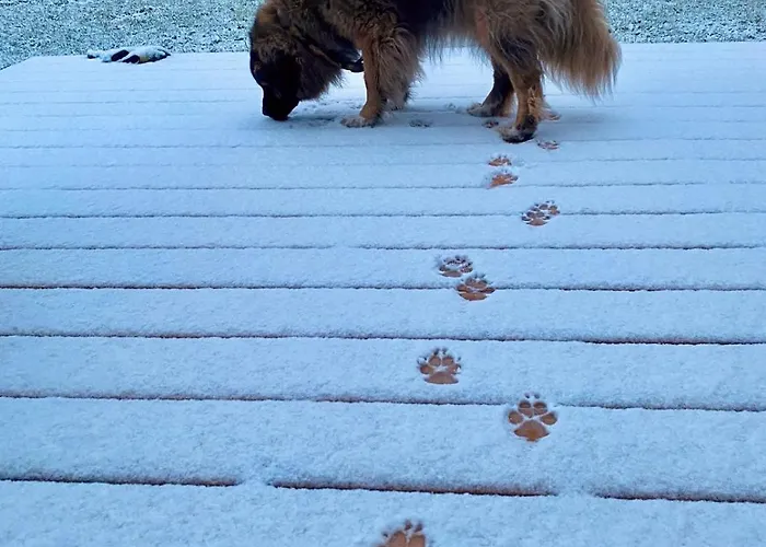 Na.zadkach Holiday home *