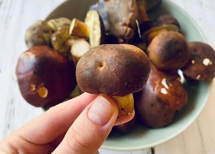 Na.zadkach Holiday home *